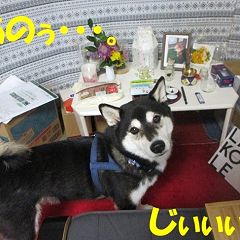 53位のイメージ