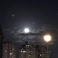 51位のイメージ