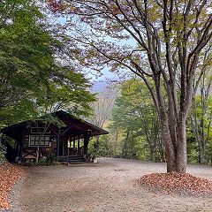 29位のイメージ