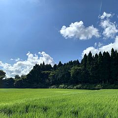 65位のイメージ