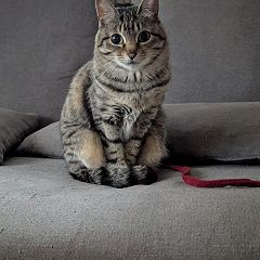 13位のイメージ