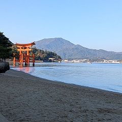 10位のイメージ