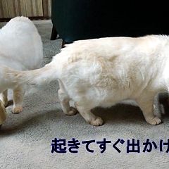 2位のイメージ