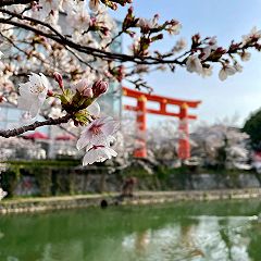 32位のイメージ