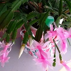 161位のイメージ