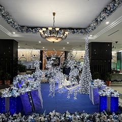 176位のイメージ