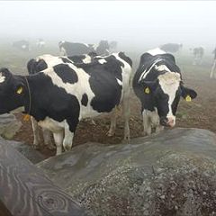 22位のイメージ