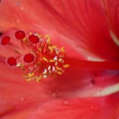 15位のイメージ