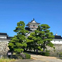 174位のイメージ