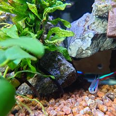 30位のイメージ