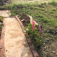 1251位のイメージ