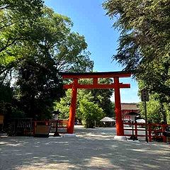 97位のイメージ