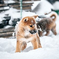 10位のイメージ