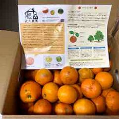 17位のイメージ