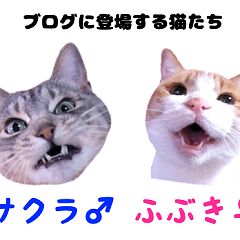 14位のイメージ