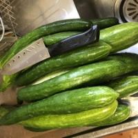 476位のイメージ