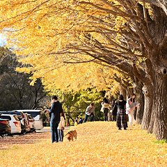 135位のイメージ