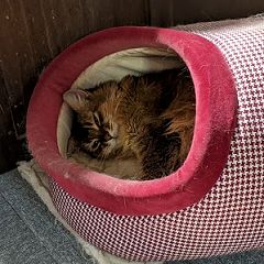 25位のイメージ