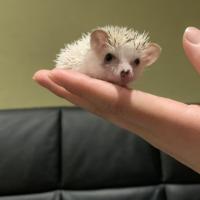 14位のイメージ