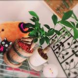 15位のイメージ