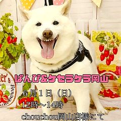 116位のイメージ