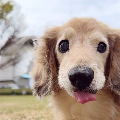 130位のイメージ