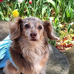 22位のイメージ