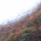 67位のイメージ