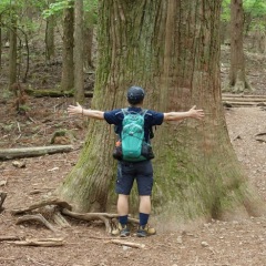 135位のイメージ