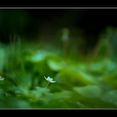 102位のイメージ