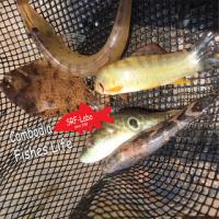 79位のイメージ