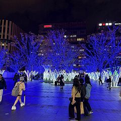 12位のイメージ