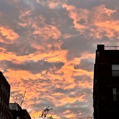 305位のイメージ