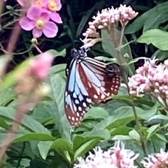 13位のイメージ