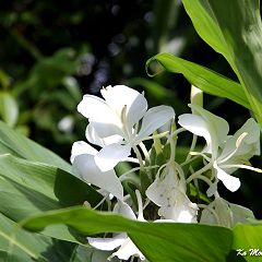 22位のイメージ