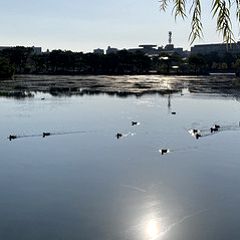 29位のイメージ