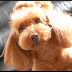 13位のイメージ