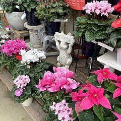 10位のイメージ