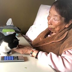 85位のイメージ