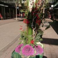 11位のイメージ