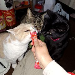 140位のイメージ