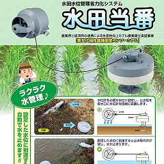 65位のイメージ