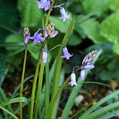 64位のイメージ