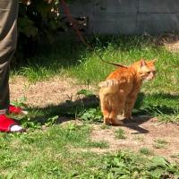 18位のイメージ