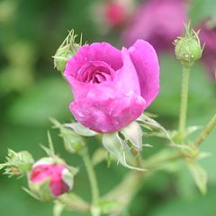 11位のイメージ