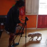 18位のイメージ