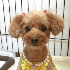 27位のイメージ