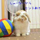 12位のイメージ