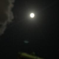 56位のイメージ