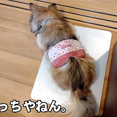 14位のイメージ